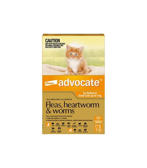 Advocate Orange For Small Cat