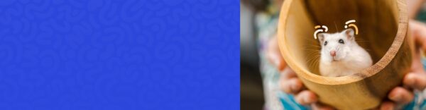 کتاب زندگی بیافرینید